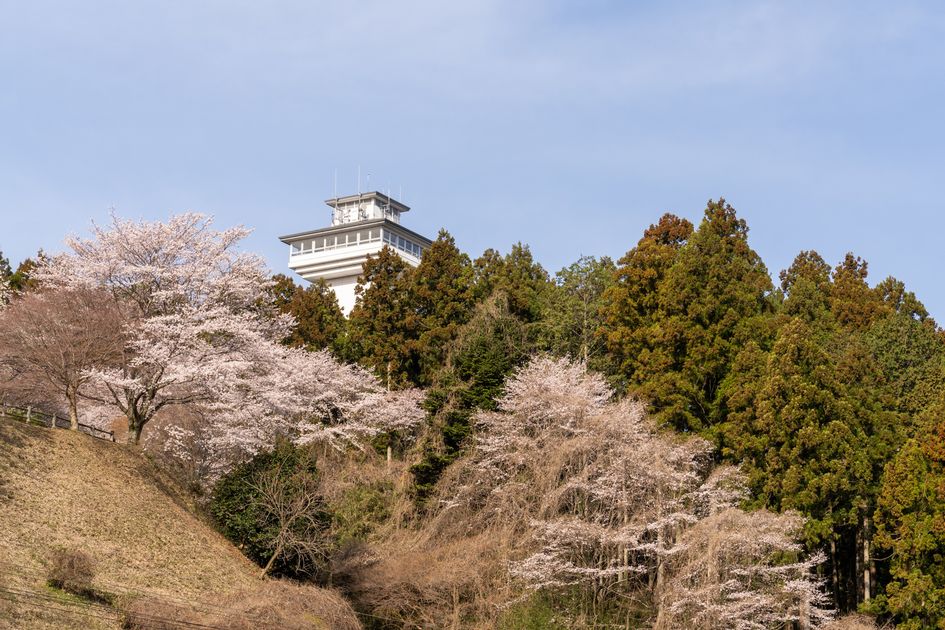 お丸山公園