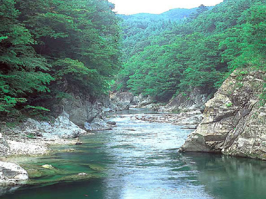 釈迦の霊泉（奈女沢温泉）周辺観光